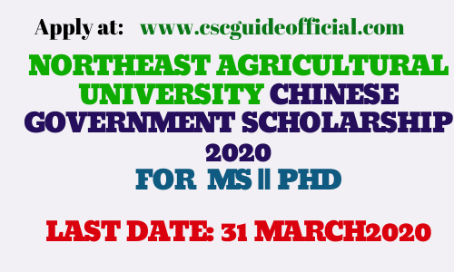 northeast agricultural University csc scholarship 2020