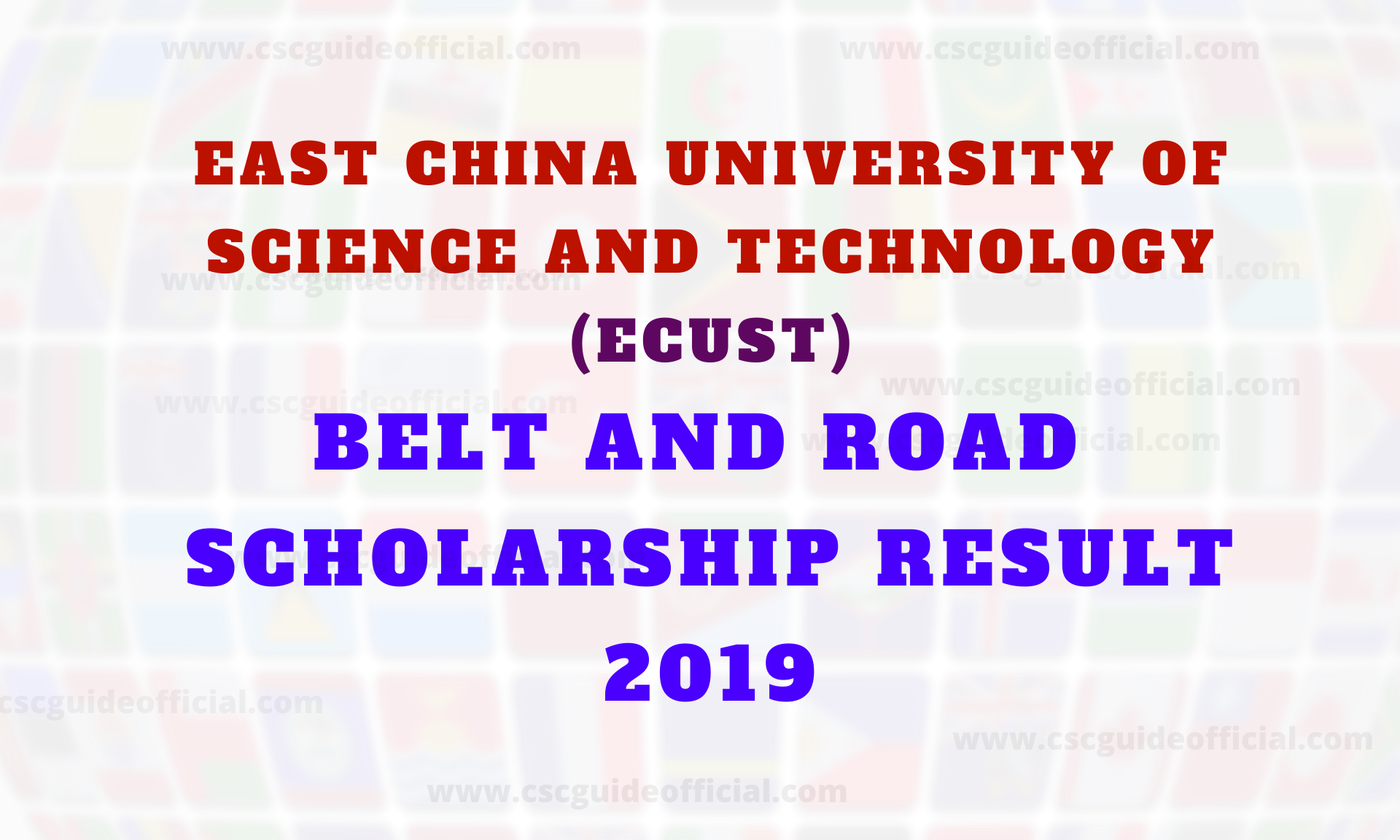 ecust belt and road scholarship result 2019