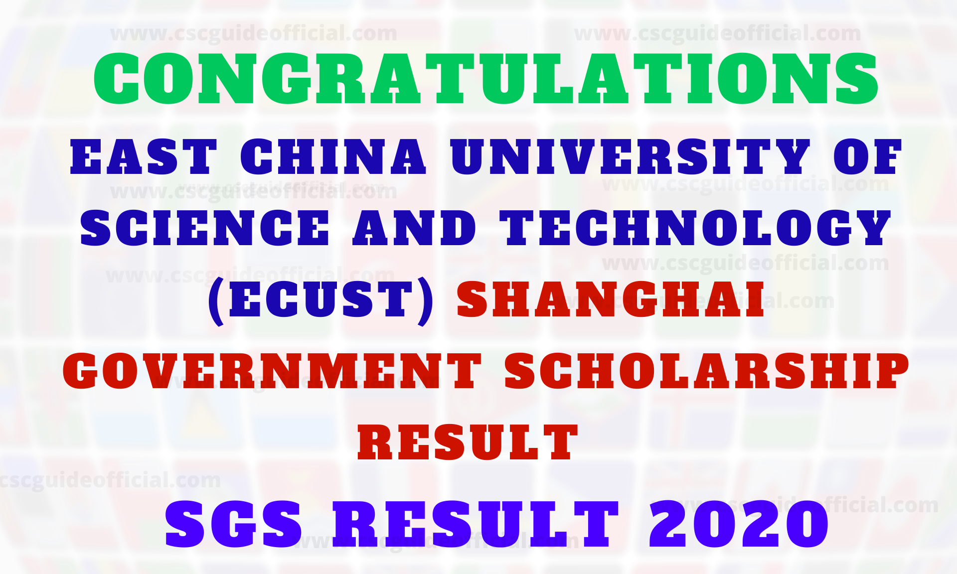 ecust shanghai government scholarship result