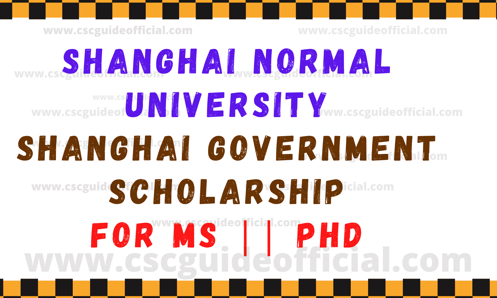 shanghai normal university shanghai government scholarship