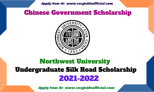 Northwest University Undergraduate Silk Road Scholarship 2021