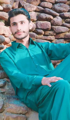 Faraz Ali Bachelor Student